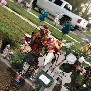 Meet your Posher, Ibarra